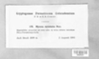 Image Associated With the Occurence